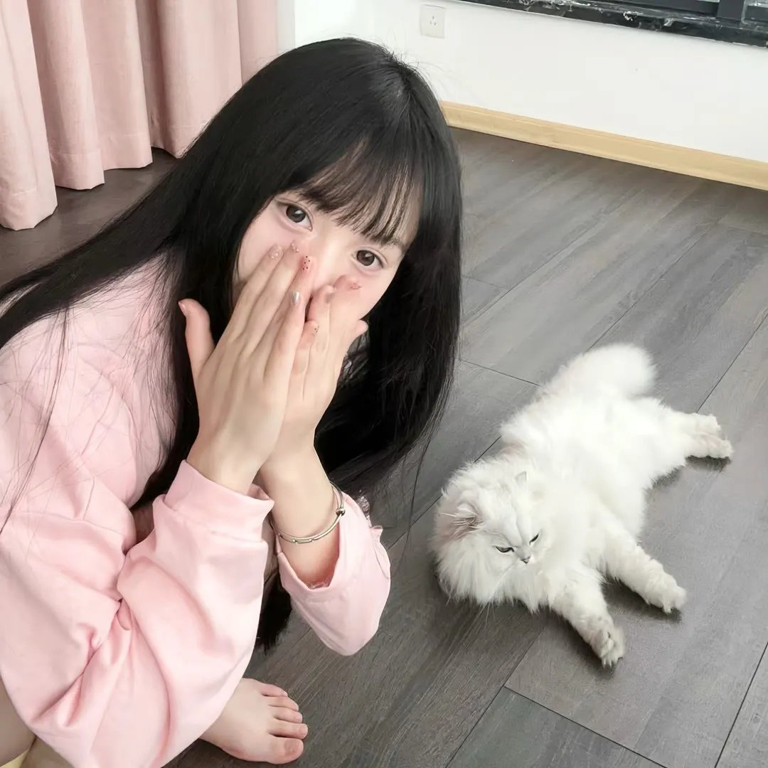 幽游白书真人版